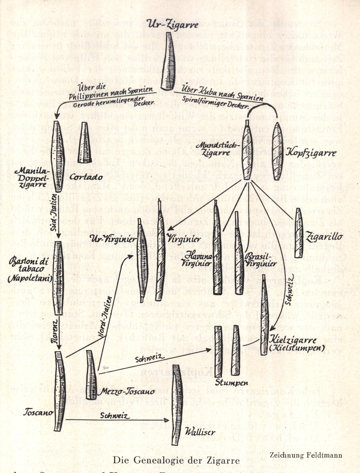 genealogie_der_zigarre.jpg (549307 Byte)
